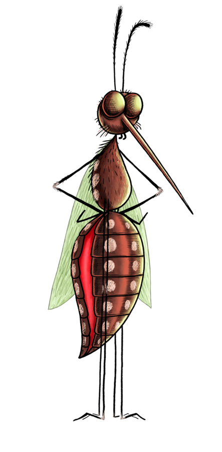 Character design by CUMI, a mosquito with long legs and translucent wings