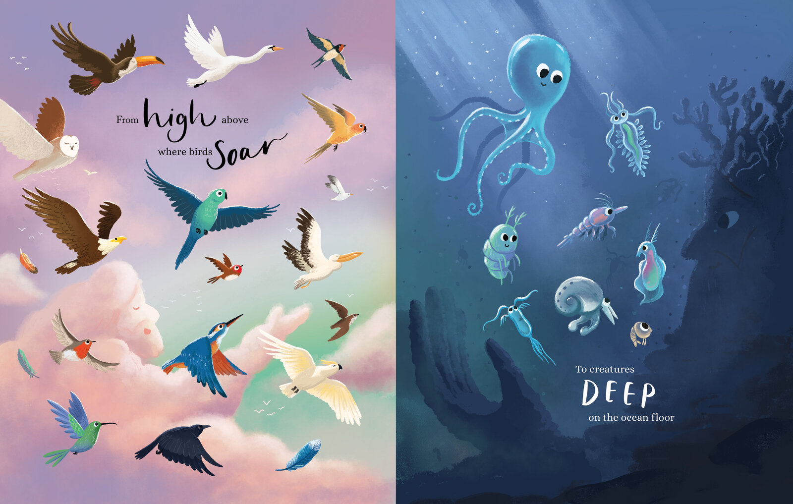 Illustrated spread split between a flock of birds in the sky and an octopus and fish in the deep ocean, with the hand lettered text "From high where birds soar... to creatures deep on the ocean floor"