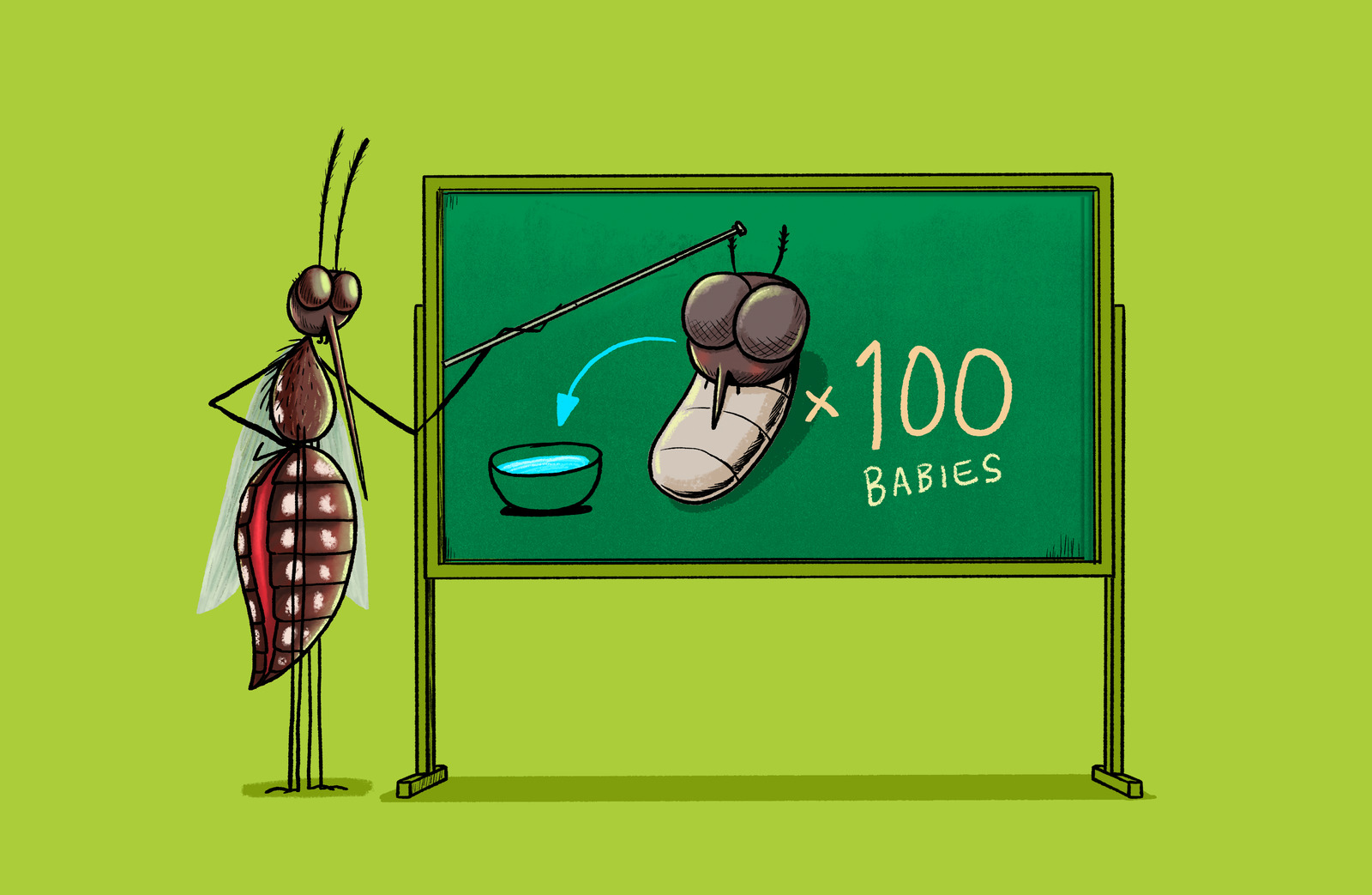 Illustration of a mosquito character teaching a lesson at a green chalkboard, with a shoe diagram and the text "x100 babies"