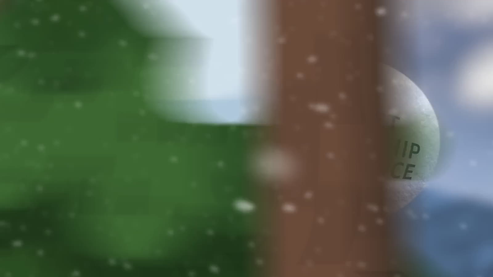Novartis Christmas Reveal (Caryn): still