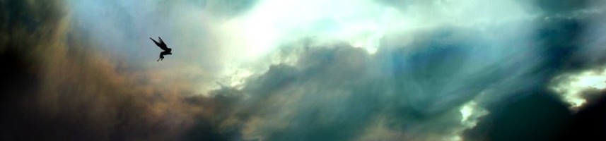 St James's Place, O2 Conference Opener, a stormy sky with a bird in flight, from the archive page's own hero image