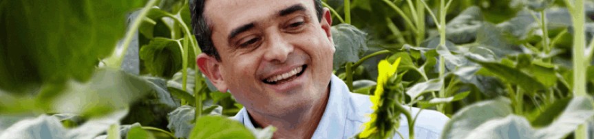Syngenta films, a real photograph of a farmer among sunflowers, from Syngenta's own photo library, the archive page's own hero image